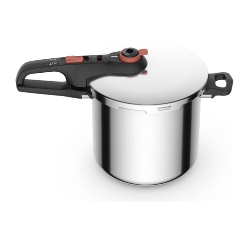 Olla de Presión T-fal 8 Litros Gris P2584403