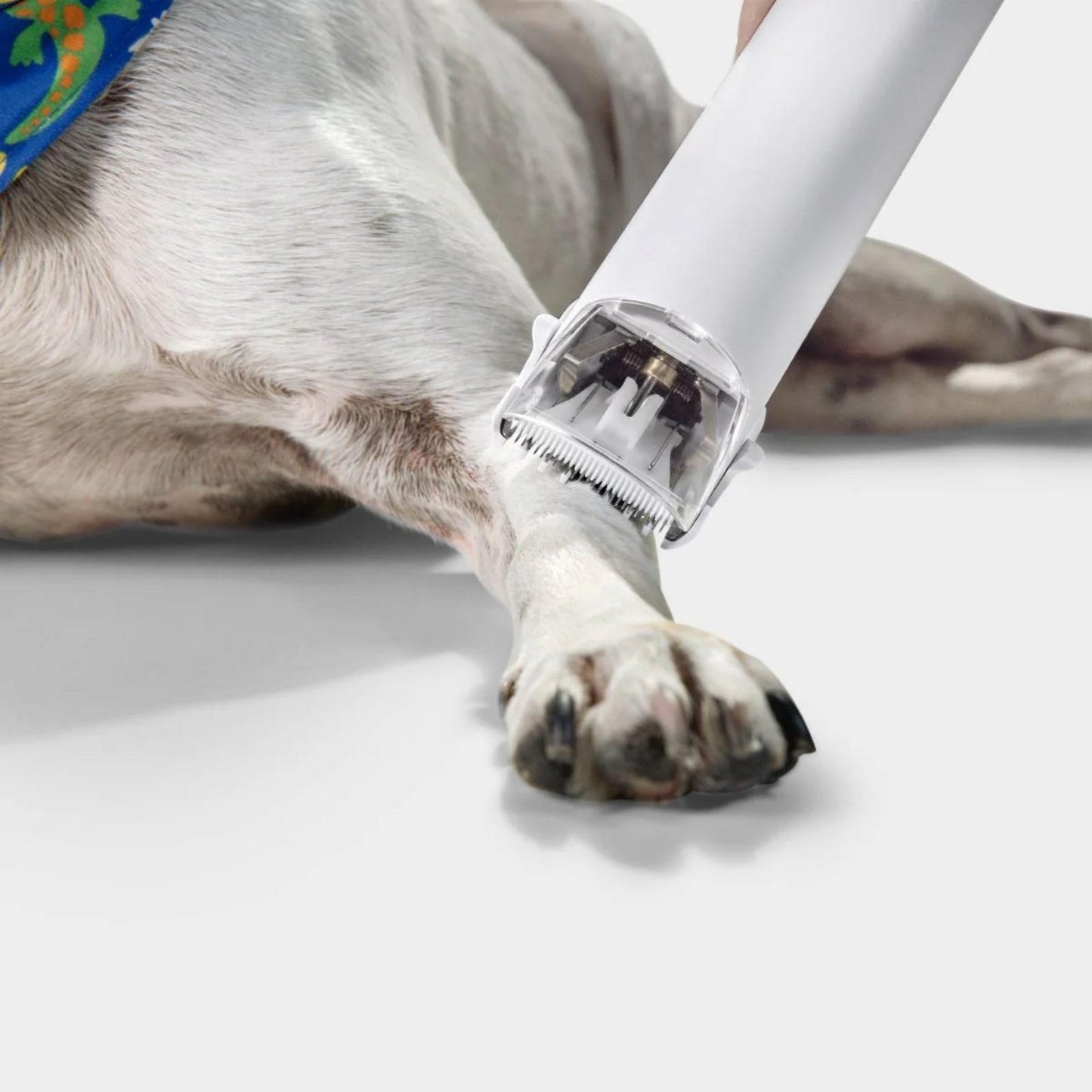 Aspirador y Cortapelo para Mascotas Karcher Pet Clean