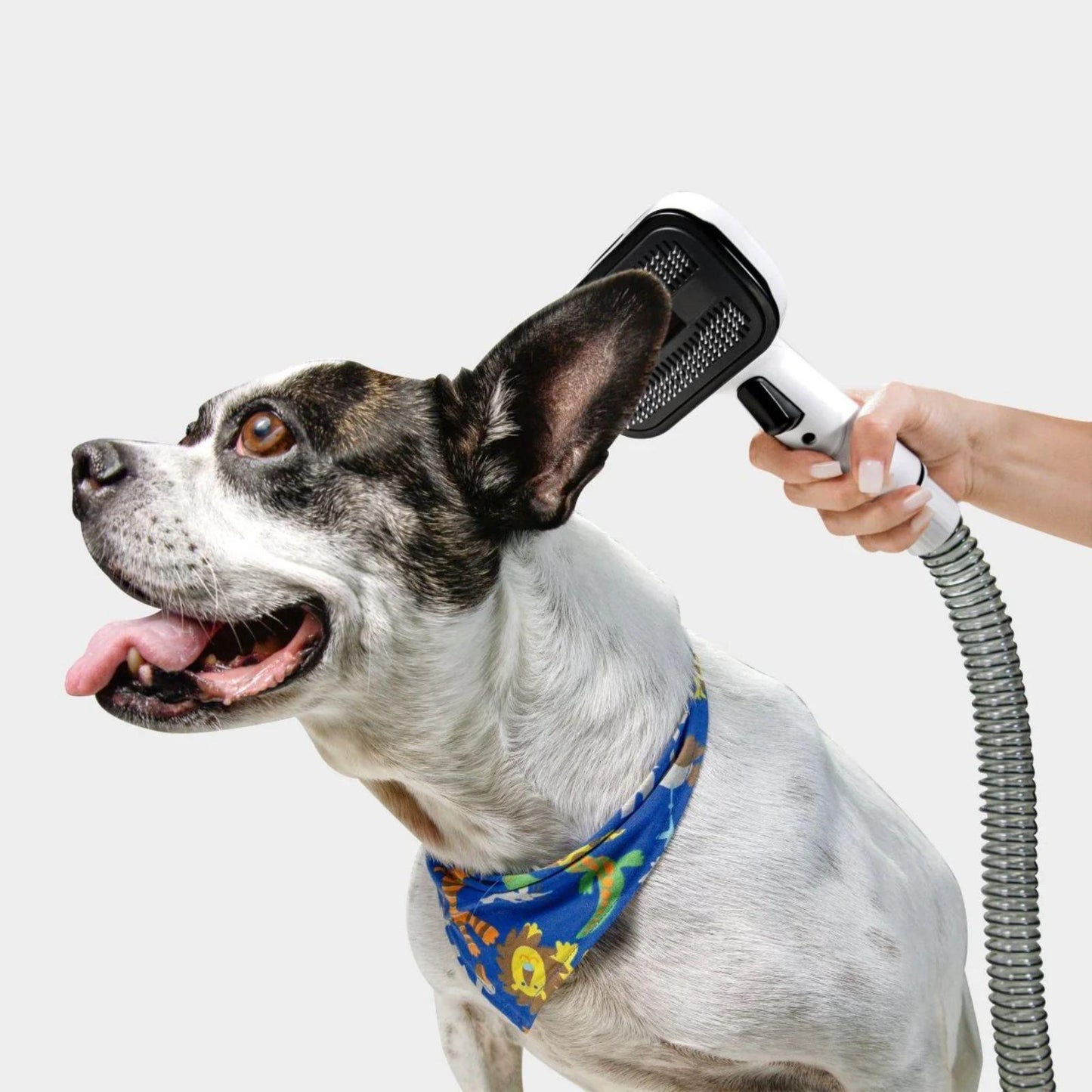 Aspirador y Cortapelo para Mascotas Karcher Pet Clean