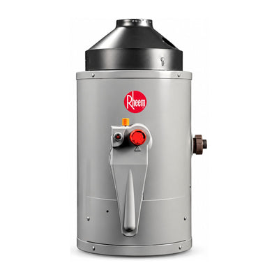 Boiler Calentador de Agua Rheem Volocity 1 Servicio Gas LP 6 Litros RHHR-CHN06P