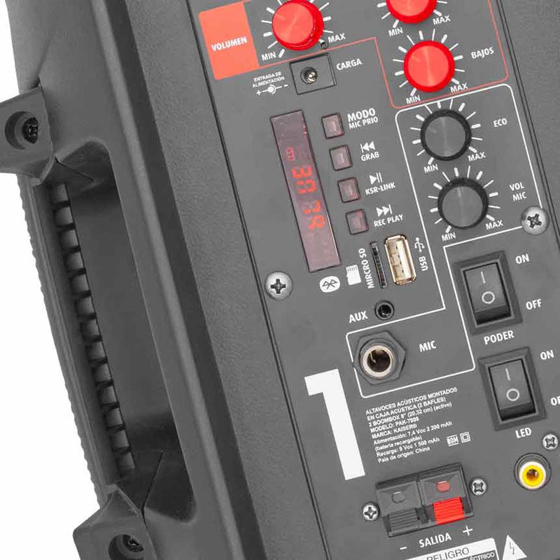 Sistema de audio doble Kaiser 8 con 10,000 W PMPO PAK-7908